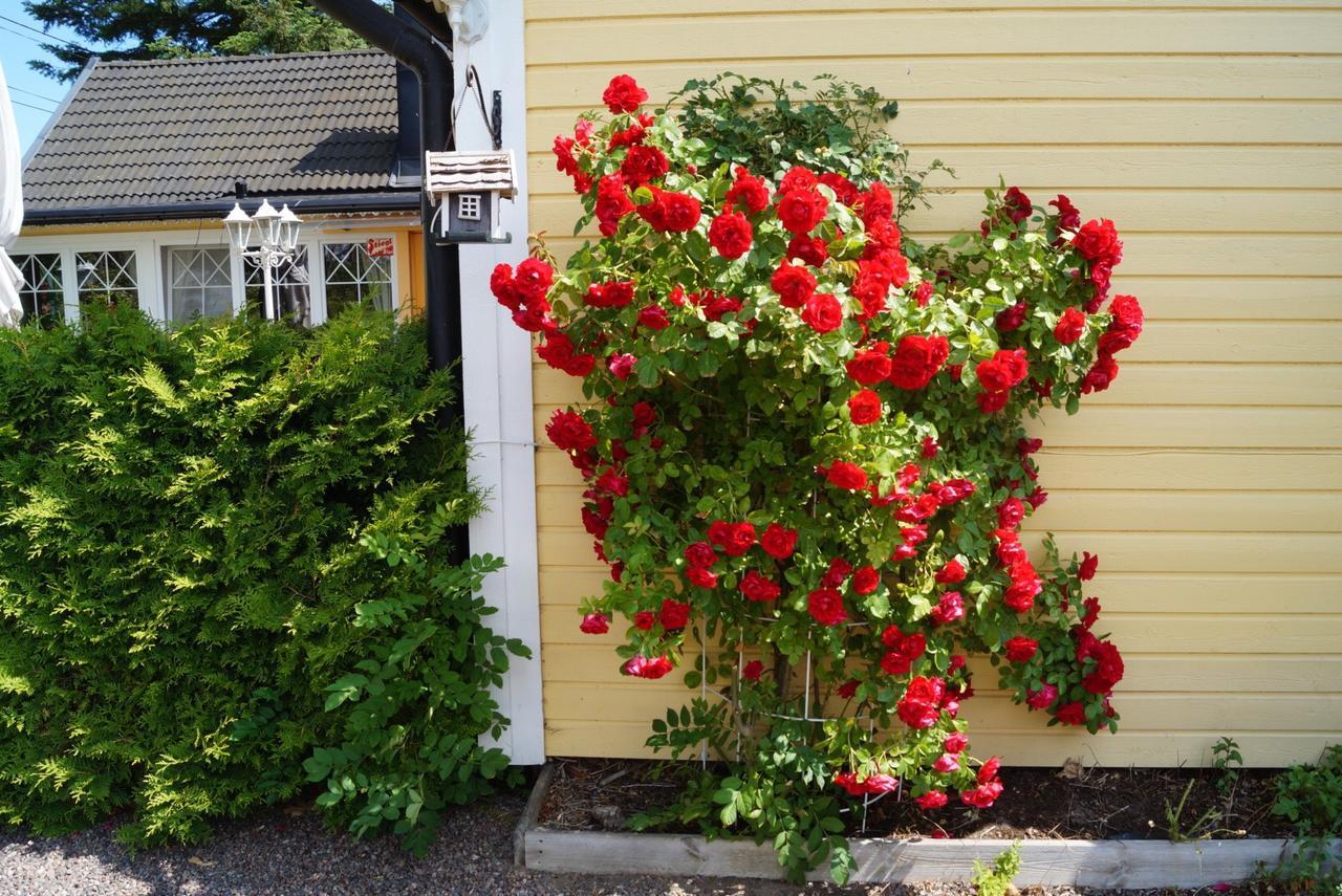 Drei Jahreszeiten Köpingsvik Extérieur photo